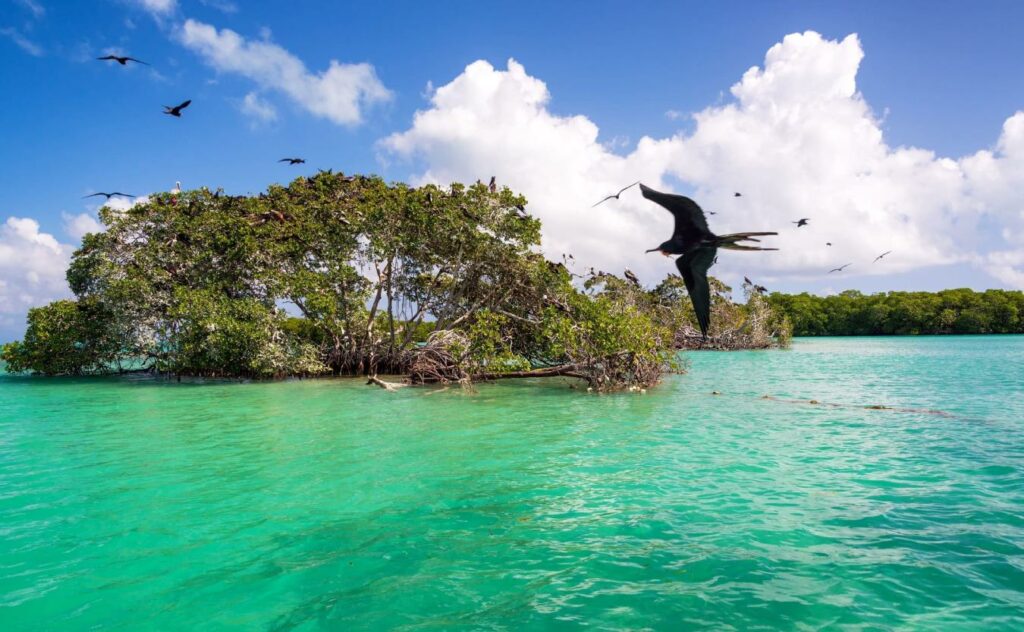 sian-kaan-mexique-quintana-roo