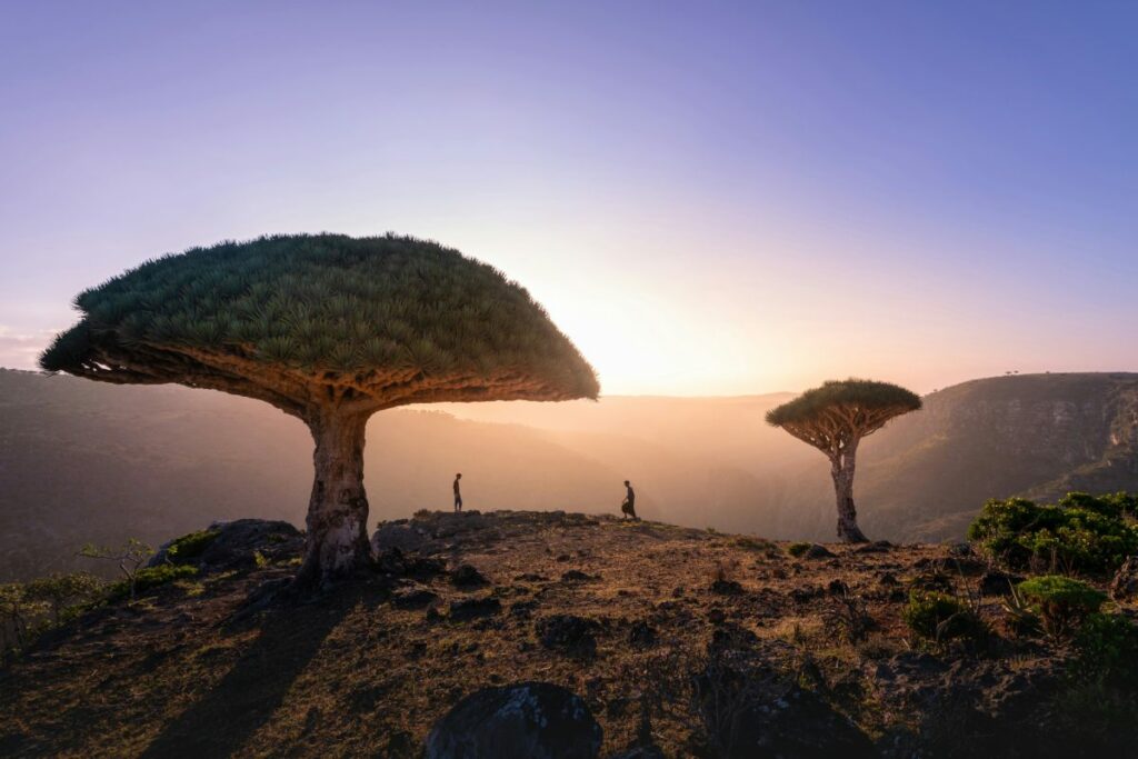 socotra dangereux